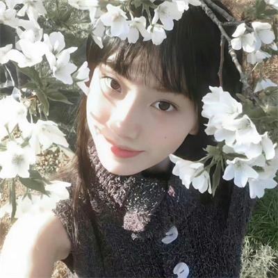 火舞倾城